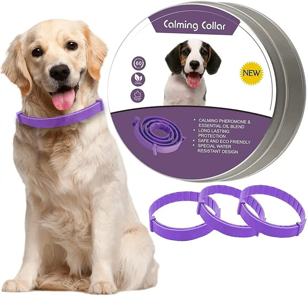 Natural Lavender Oil Pet Collar